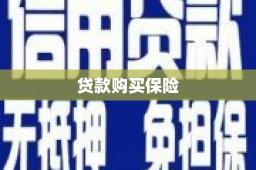 宣威贷款购买保险