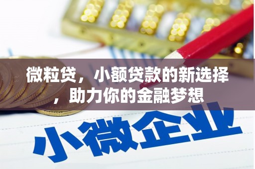 思茅微粒贷，小额贷款的新选择，助力你的金融梦想