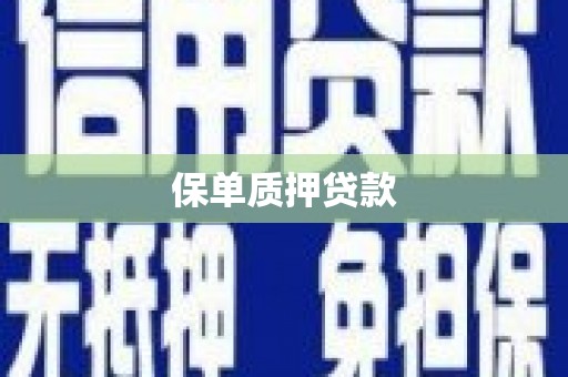 南和保单质押贷款