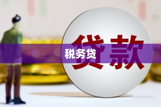 务川税务贷