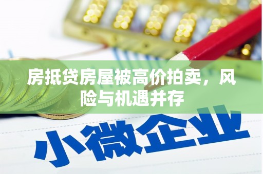 苑里房抵贷房屋被高价拍卖，风险与机遇并存
