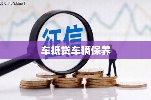 龙沙车抵贷车辆保养