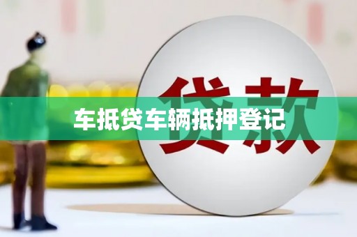 宣威车抵贷车辆抵押登记