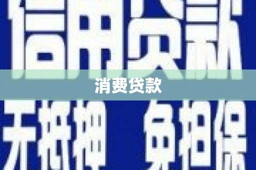 巴马消费贷款