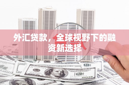 浈江外汇贷款，全球视野下的融资新选择
