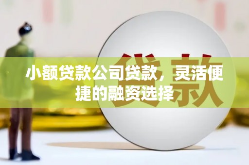 呼兰小额贷款公司贷款，灵活便捷的融资选择