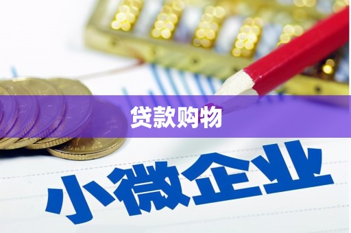 元宝贷款购物
