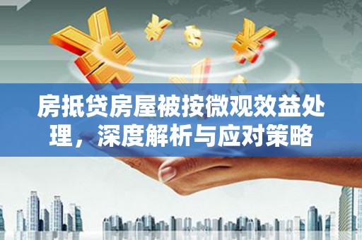 梅州房抵贷房屋被按微观效益处理，深度解析与应对策略