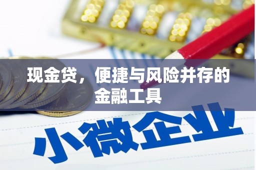 金阳现金贷，便捷与风险并存的金融工具