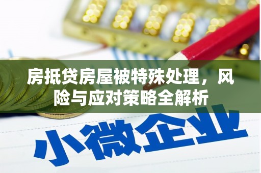 金阳房抵贷房屋被特殊处理，风险与应对策略全解析