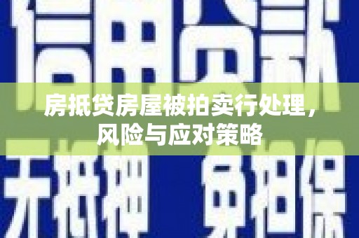 金阳房抵贷房屋被拍卖行处理，风险与应对策略