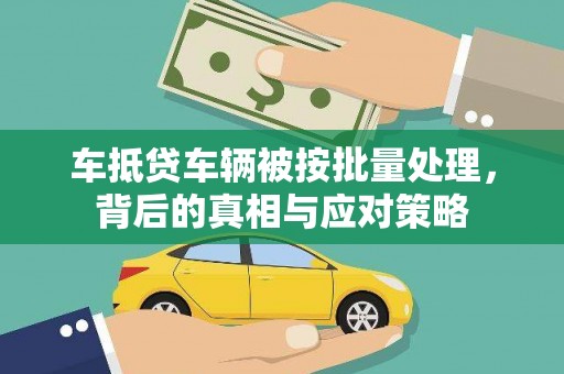 思茅车抵贷车辆被按批量处理，背后的真相与应对策略