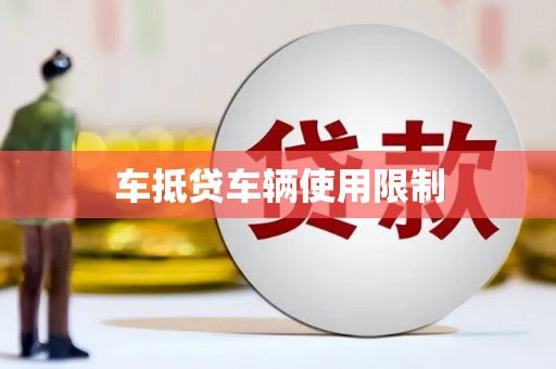 德清车抵贷车辆使用限制