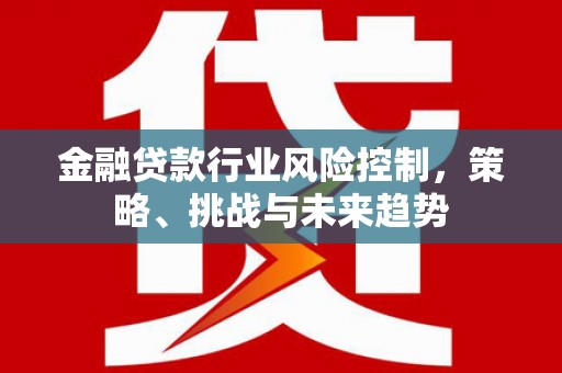 皋兰金融贷款行业风险控制，策略、挑战与未来趋势