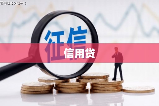 蜀山信用贷