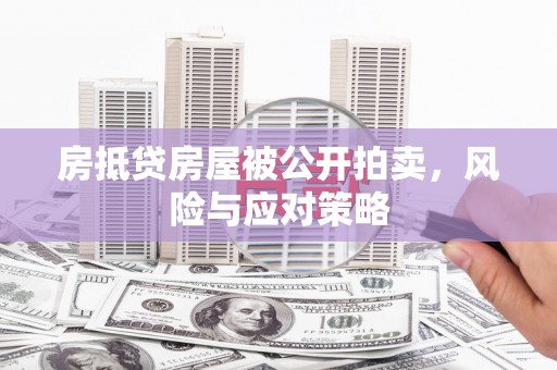 镇巴房抵贷房屋被公开拍卖，风险与应对策略