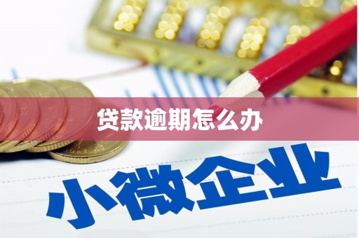 塔河贷款逾期怎么办