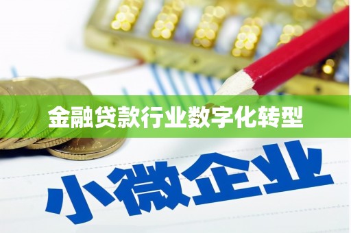 兴仁金融贷款行业数字化转型