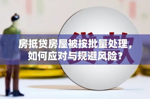安仁房抵贷房屋被按批量处理，如何应对与规避风险？