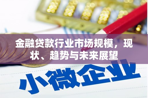 兴仁金融贷款行业市场规模，现状、趋势与未来展望