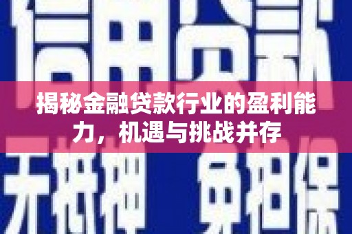 惠农揭秘金融贷款行业的盈利能力，机遇与挑战并存