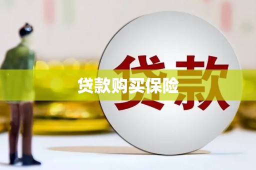蜀山贷款购买保险