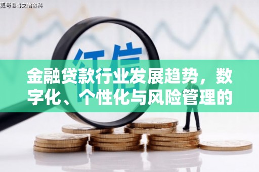 益阳金融贷款行业发展趋势，数字化、个性化与风险管理的未来
