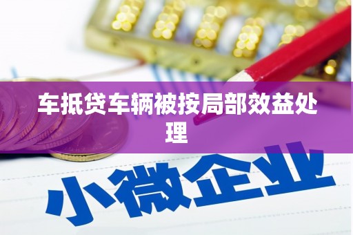 蓝田车抵贷车辆被按局部效益处理