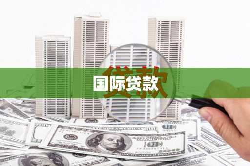 那坡国际贷款