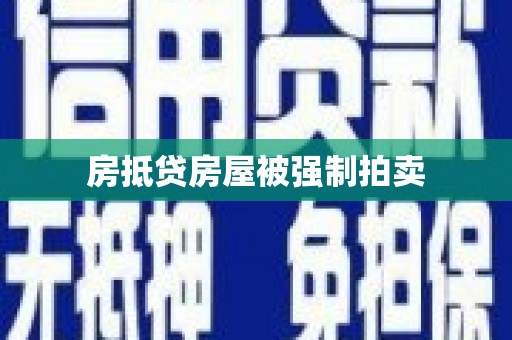 船山房抵贷房屋被强制拍卖