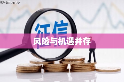 和布克赛尔风险与机遇并存