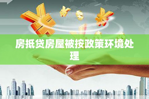吴忠房抵贷房屋被按政策环境处理