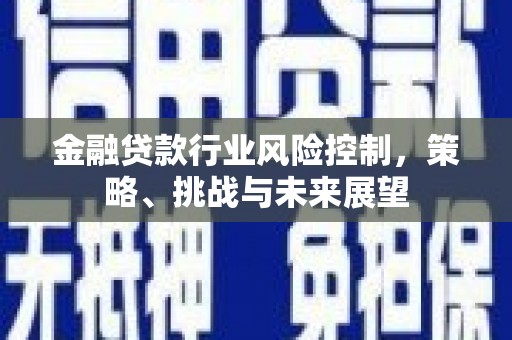 贵阳金融贷款行业风险控制，策略、挑战与未来展望