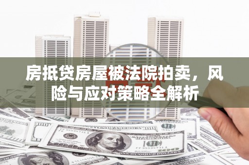 安南房抵贷房屋被法院拍卖，风险与应对策略全解析