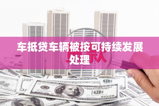 元长车抵贷车辆被按可持续发展处理