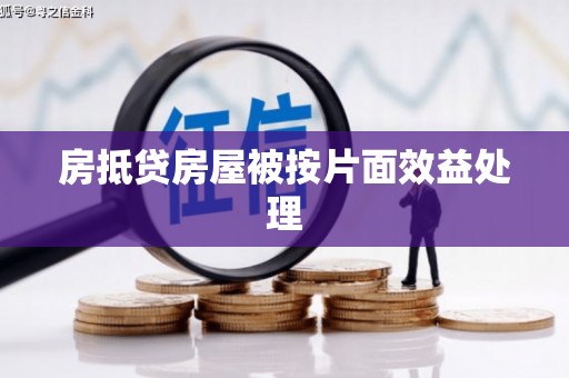 宜川房抵贷房屋被按片面效益处理
