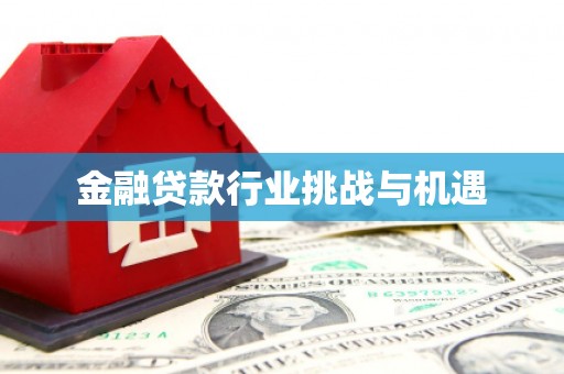 武穴金融贷款行业挑战与机遇