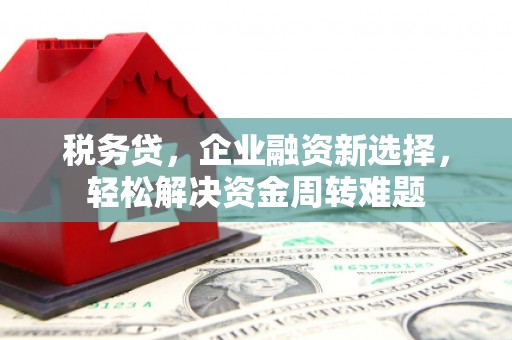 安平税务贷，企业融资新选择，轻松解决资金周转难题