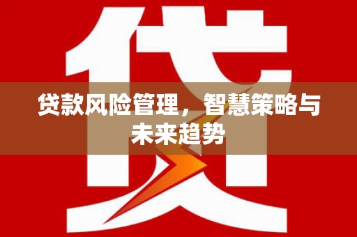 阳城贷款风险管理，智慧策略与未来趋势