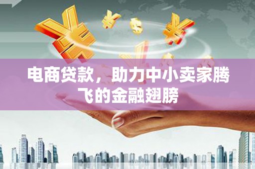 乌拉特后旗电商贷款，助力中小卖家腾飞的金融翅膀