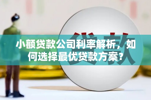 外埔小额贷款公司利率解析，如何选择最优贷款方案？