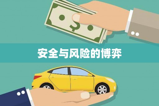 宾阳安全与风险的博弈