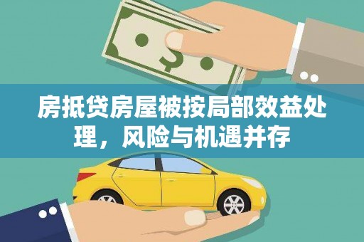 丽水房抵贷房屋被按局部效益处理，风险与机遇并存