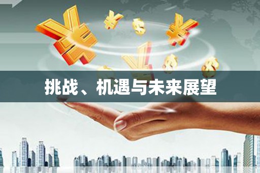丽水挑战、机遇与未来展望