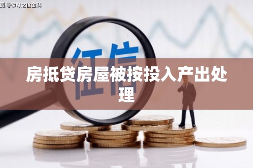 雷山房抵贷房屋被按投入产出处理