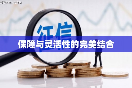 江口保障与灵活性的完美结合