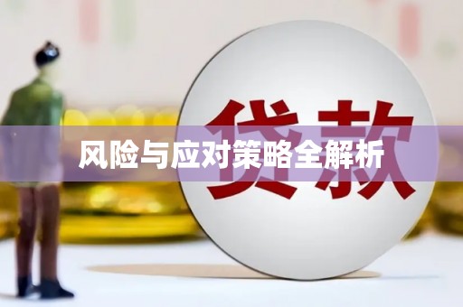 江口风险与应对策略全解析