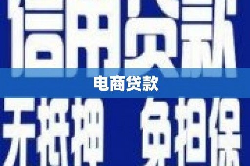 金水电商贷款