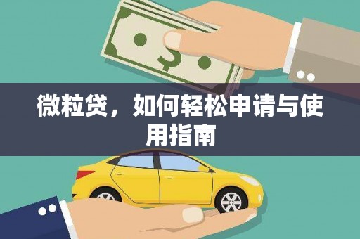 华安微粒贷，如何轻松申请与使用指南