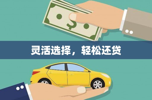 武冈灵活选择，轻松还贷
